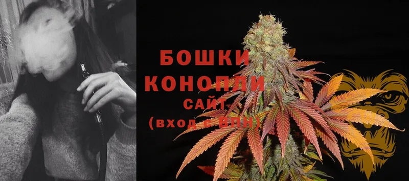 Каннабис Ganja  Будённовск 